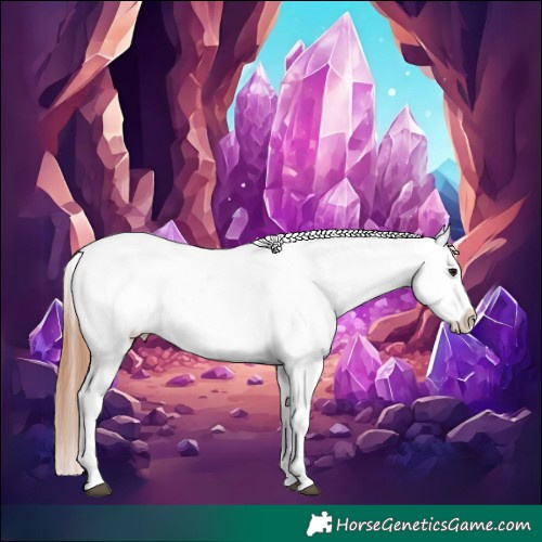 Horse Color:White Spotted Bay Frame Appaloosa Rabicano  and White Spotted Bay Frame Appaloosa Rabicano 