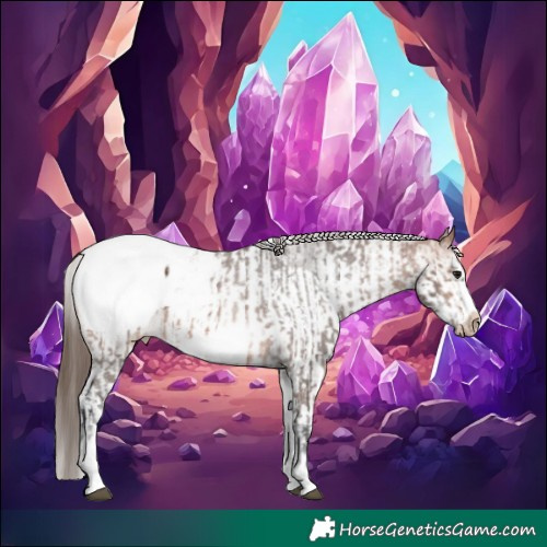 Horse Color:White Spotted Bay Frame Snowcap Rabicano and White Spotted Bay Frame Snowcap Rabicano