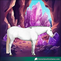 Horse Color:White Spotted Bay Frame Appaloosa Rabicano  and White Spotted Bay Frame Appaloosa Rabicano 