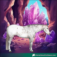 Horse Color:White Spotted Bay Frame Appaloosa Rabicano  and White Spotted Bay Frame Appaloosa Rabicano 