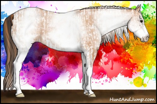 Horse Color:White Spotted Bay Frame Appaloosa Rabicano  and White Spotted Bay Pearl Rabicano 