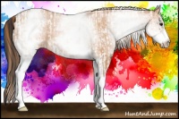 Horse Color:White Spotted Bay Frame Appaloosa Rabicano  and White Spotted Bay Pearl Rabicano 