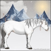Horse Color:White Spotted Bay Frame Near Fewspot Rabicano  and White Spotted Bay Frame Near Fewspot Rabicano 