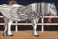 Horse Color:Brown Tobiano Frame Appaloosa Rabicano  and Buckskin Pearl Frame Appaloosa Rabicano 