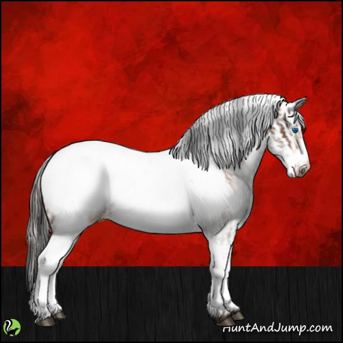 Horse Color:White Spotted Bay Frame Appaloosa Rabicano  and White Spotted Silver Bay Frame Appaloosa Rabicano 
