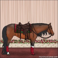 Horse Color:Bay Tobiano 