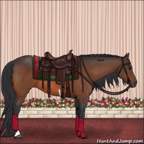 Horse Color:Brown Tobiano