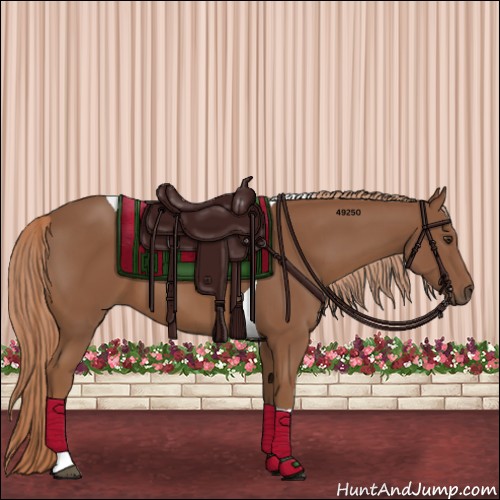 Horse Color:Chestnut Tobiano