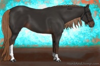 Horse Color:Liver Chestnut Tobiano 