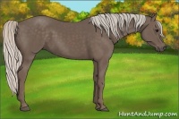 Horse Color:Silver Black 