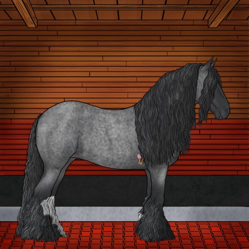 Horse Color:Blue Roan 