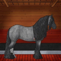 Horse Color:Blue Roan 