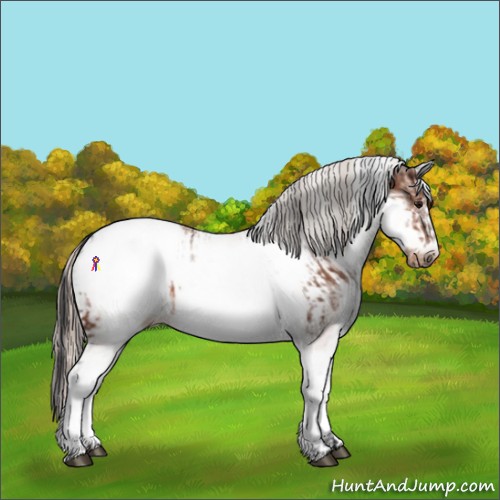 Horse Color:White Spotted Bay Frame Snowcap Rabicano and White Spotted Silver Bay Frame Snowcap Rabicano
