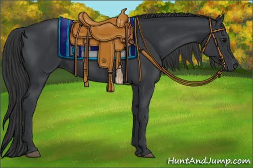 Horse Color:Black 