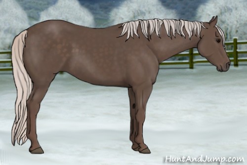 Horse Color:Silver Black 