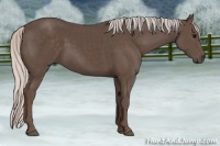 Horse Color:Silver Black 