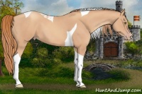 Horse Color:Gold Champagne Sabino Tobiano 