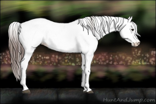 Horse Color:Platinum White Spotted Brown Frame Fewspot Rabicano  and White Spotted Bay Frame Fewspot Rabicano 