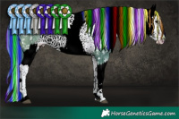 Horse Color:Painted Watercolor White Spotted Bay Appaloosa Rabicano and Painted Watercolor White Spotted Bay Appaloosa Rabicano