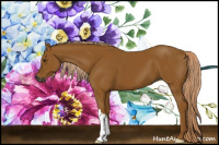 Horse Color:Gray Palomino