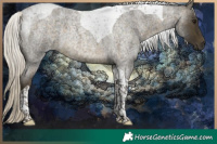 Horse Color:Silver Buckskin Roan Tobiano 