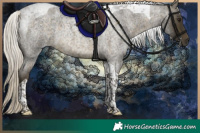 Horse Color:Silver Buckskin Roan Tobiano 
