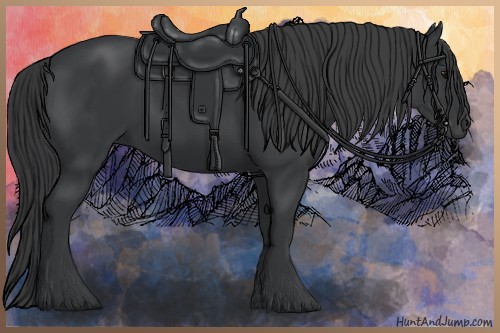 Horse Color:Black 