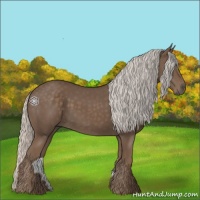 Horse Color:Silver Black 