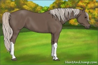 Horse Color:Silver Black 