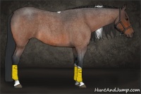 Horse Color:Bay Roan Tobiano