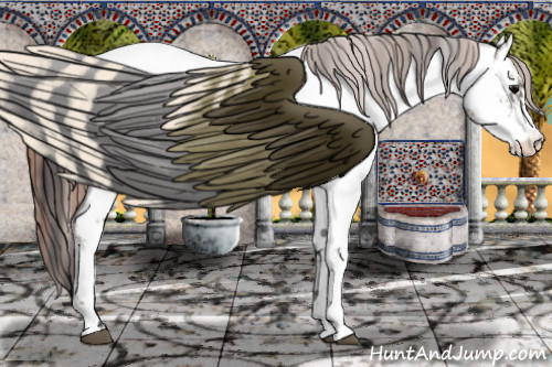 Horse Color:Grullo Appaloosa Rabicano  and Classic Champagne Roan Dun Appaloosa Rabicano 