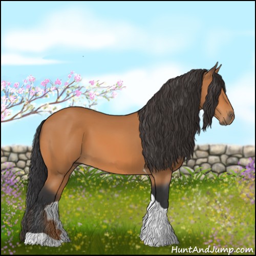 Horse Color:Bay Tobiano 