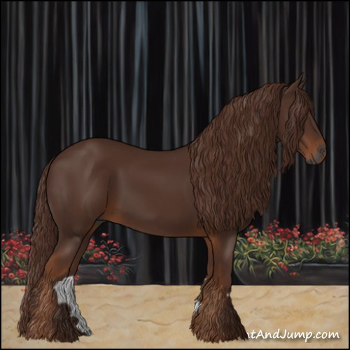 Horse Color:Gray Chestnut 