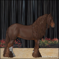 Horse Color:Gray Chestnut 