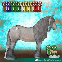 Horse Color:Brown Dun Varnish 