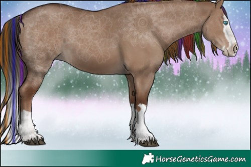 Horse Color:Painted Liver Red Dun Splash 