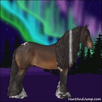 Horse Color:Buckskin Tobiano 