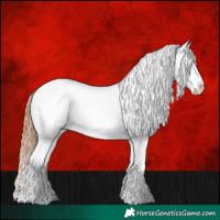 Horse Color:White Spotted Grullo Appaloosa Rabicano and White Spotted Grullo Appaloosa Rabicano