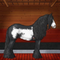 Horse Color:Black Frame