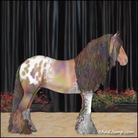 Horse Color:Nacre White Spotted Sable Champagne Appaloosa 