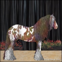 Horse Color:Nacre White Spotted Liver Chestnut Appaloosa 