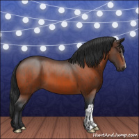 Horse Color:Bay  and Bay 