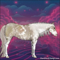 Horse Color:Silver Grullo Sabino 