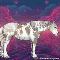 Horse Color:White Spotted Silver Grullo Sabino 