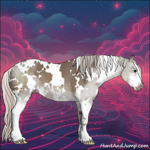 Horse Color:White Spotted Silver Black Sabino 