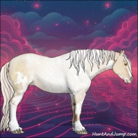 Horse Color:White Spotted Silver Grullo Pearl Sabino 
