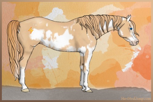 Horse Color:Gold Champagne Splash Frame and Gold Champagne Splash Frame
