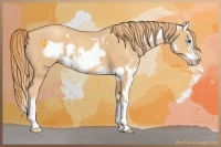 Horse Color:Gold Champagne Splash Frame  and Gold Champagne Splash Frame 
