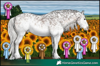 Horse Color:White Spotted Silver Brown Sabino Appaloosa Rabicano