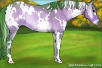 Horse Color:Watercolor White Spotted Bay Onyx Rabicano 